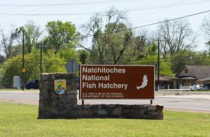 Fish-Hatchery-Sign-1200x787