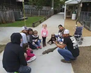 Gator Country Natchitoches
