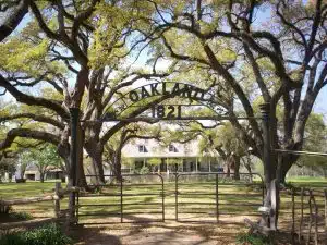 Oakland Plantation