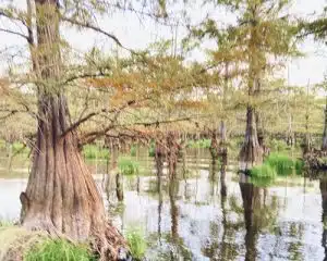 Black Lake Haven RV