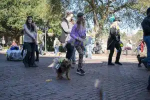 girl_in_mask_walking_dog