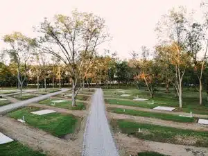 created by dji camera