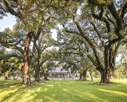 Oakland Plantation Natchitoches