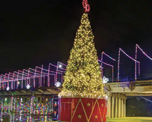 Turn on the Holidays Natchitoches