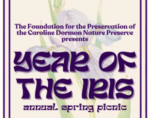 Year of the Iris Annual Spring Picinic