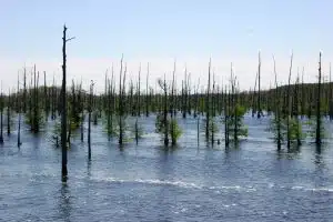 Black Lake (Lane Luckie) 004
