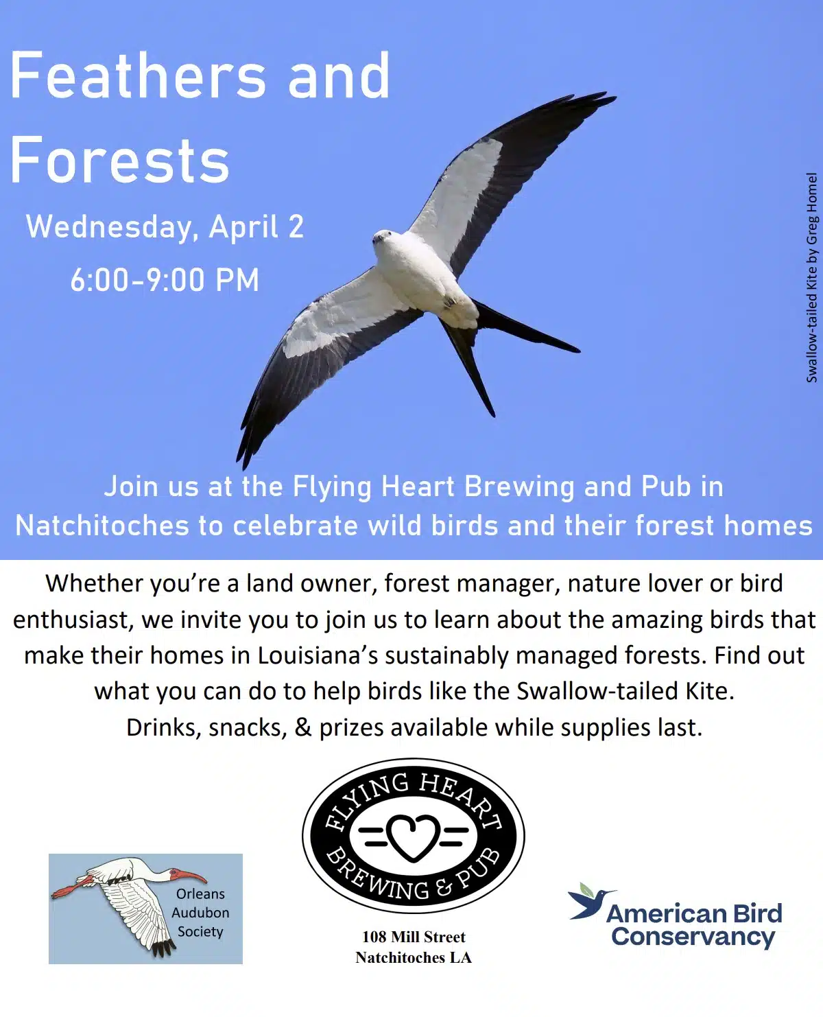 ForestsFeathers