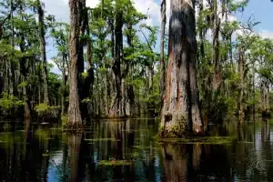 saline lake